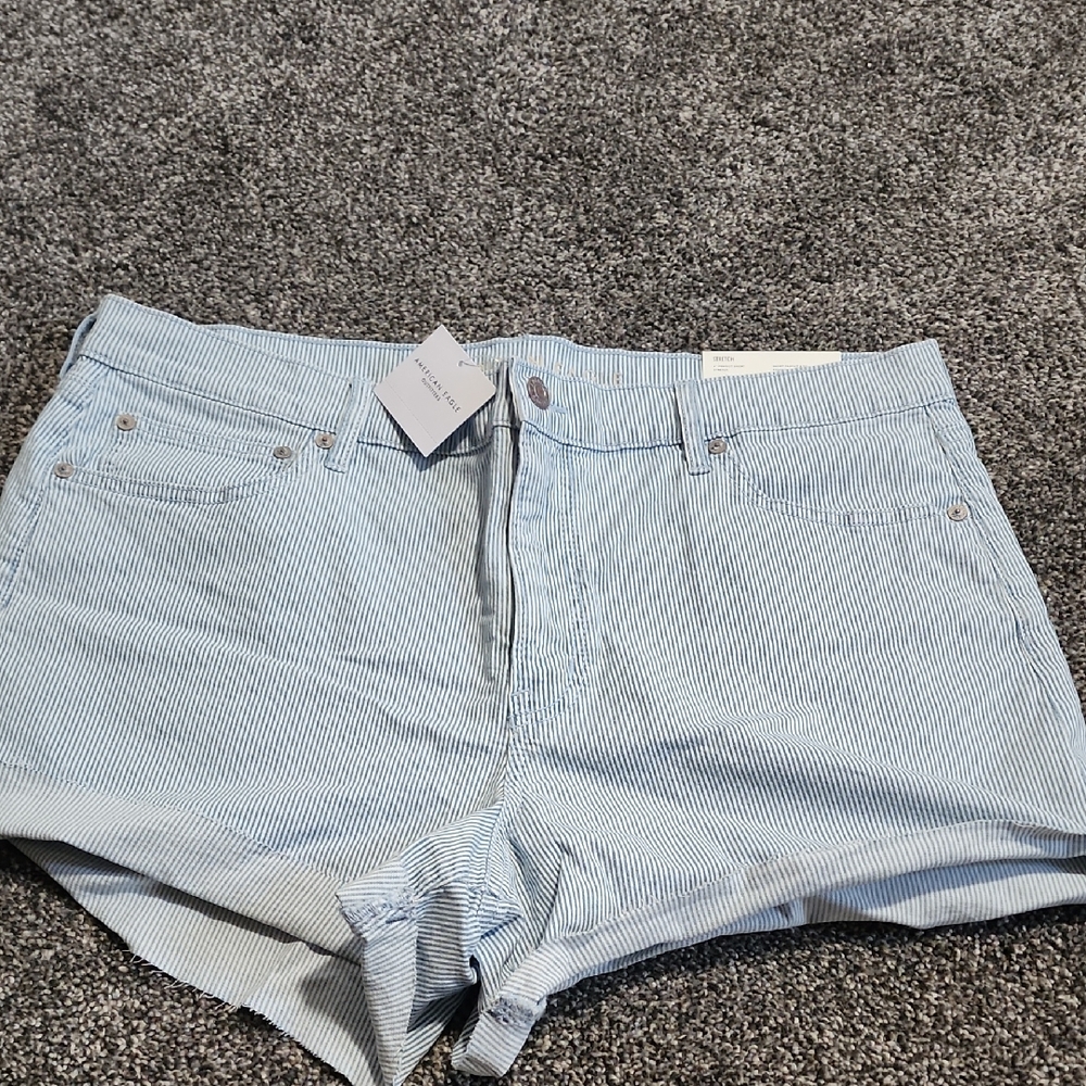 American Eagle Outfitters Light Blue Striped Jean Shorts